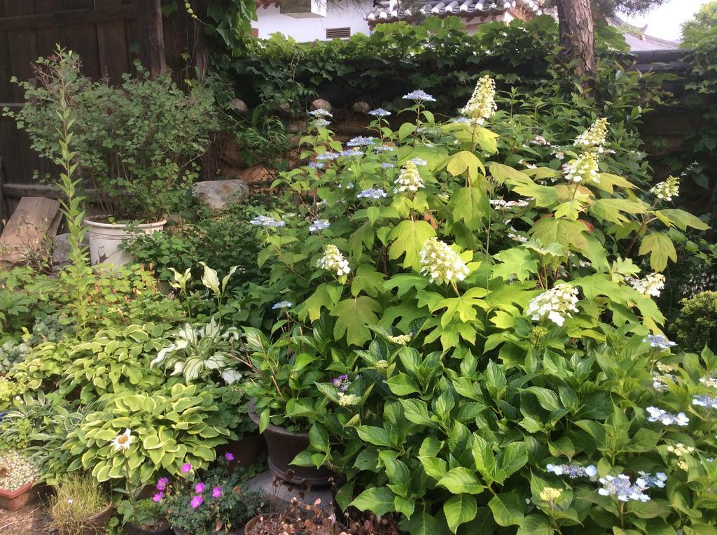 ホテル ヤンサジェ 全州市 エクステリア 写真
