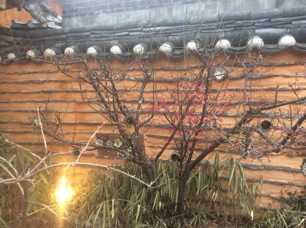 ホテル ヤンサジェ 全州市 エクステリア 写真